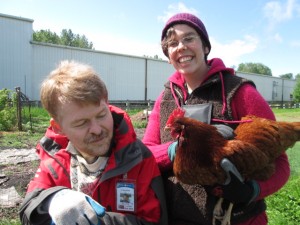 Paul ayudando con las tareas de pollo en el Oregon Food Bank Learning Garden
